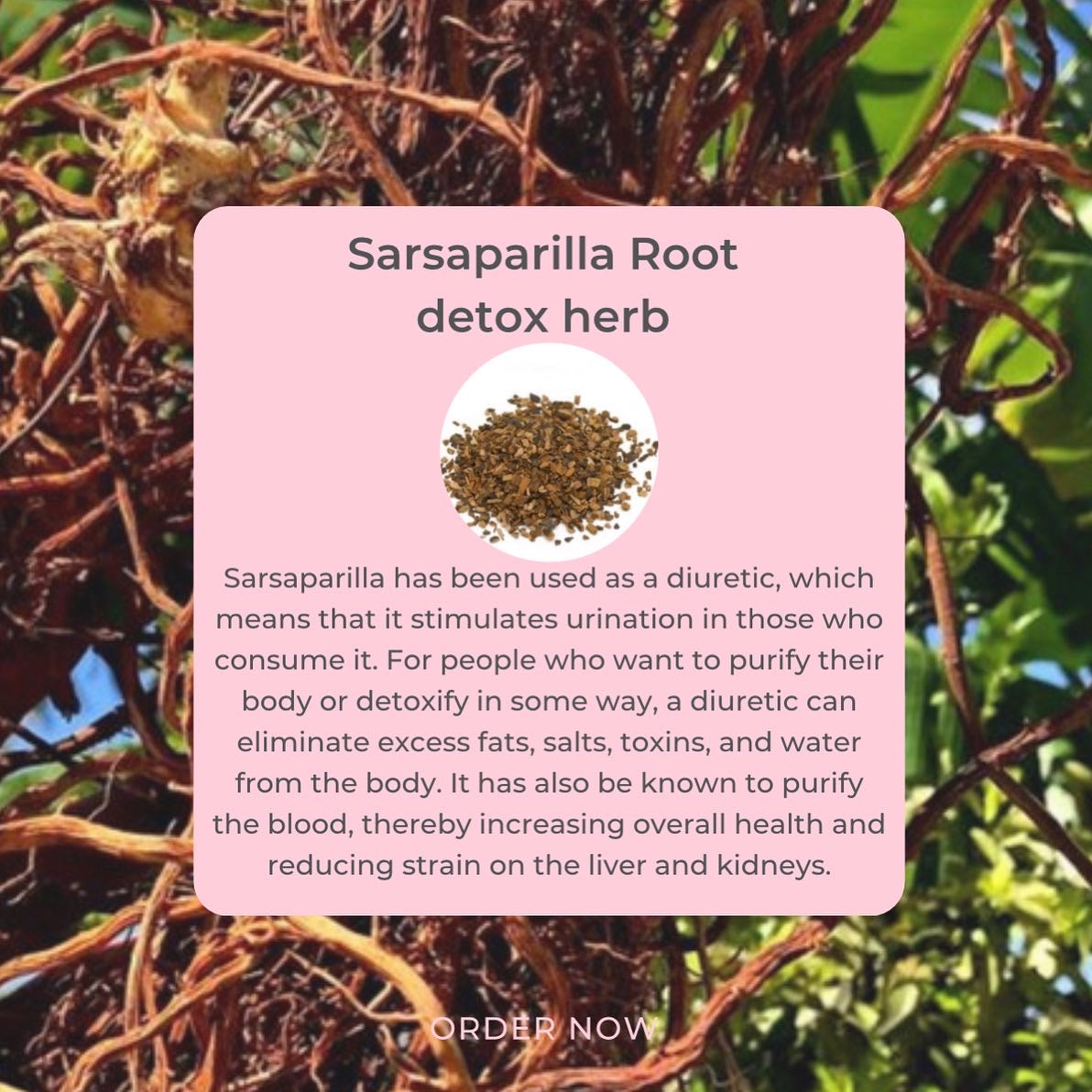 PP🌱 Ultimate Detoxification Bundle